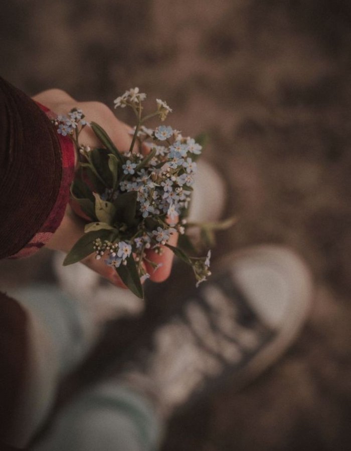Main d'une adolescente tenant un bouquet de myosotis, baskets en arrière-plan flou