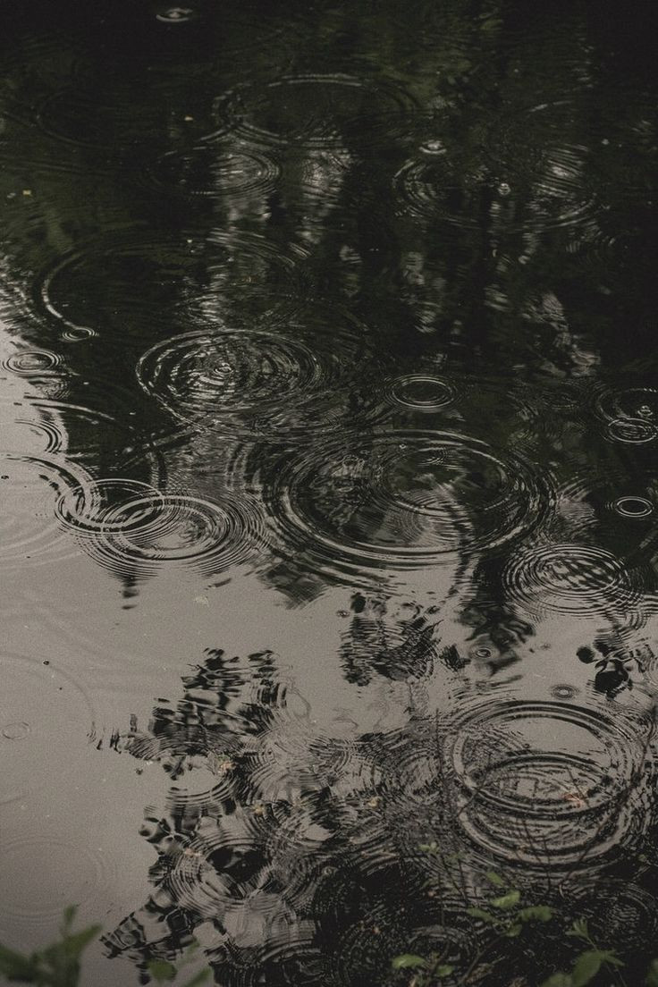 Pluie dans l'eau