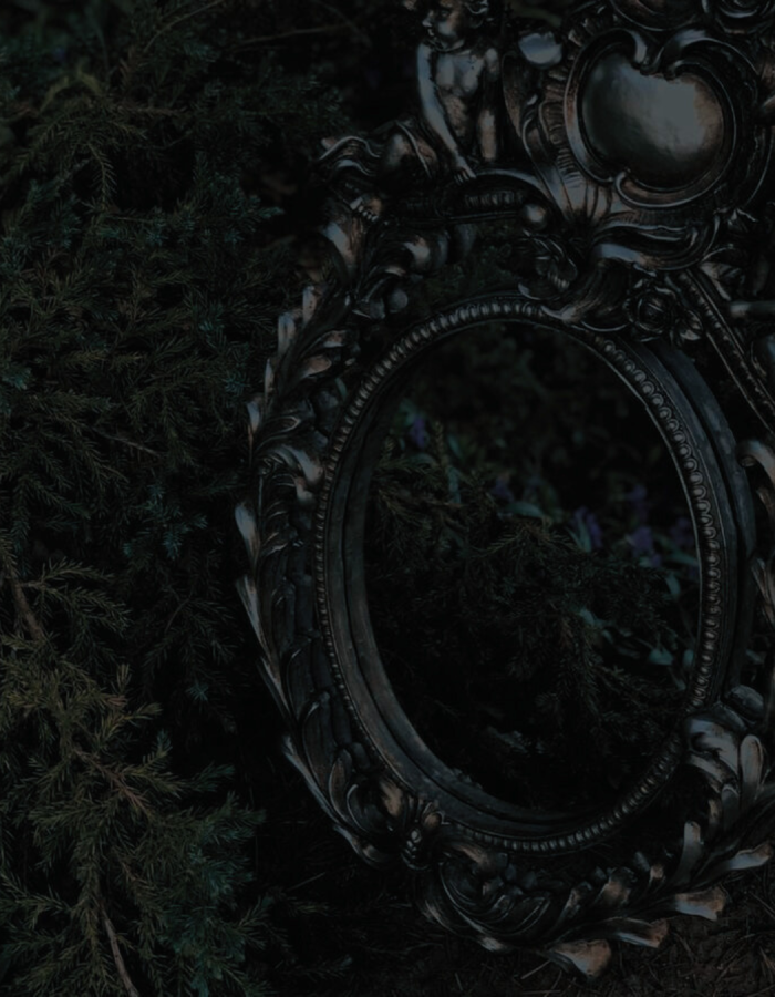 Photographie d'un cadre baroque noir au milieu de branches de sapin