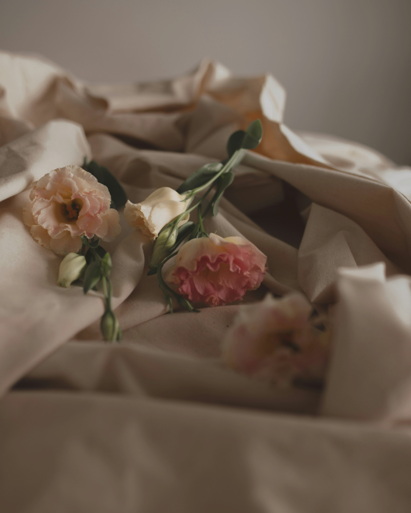 Fleurs posés sur un drap beige